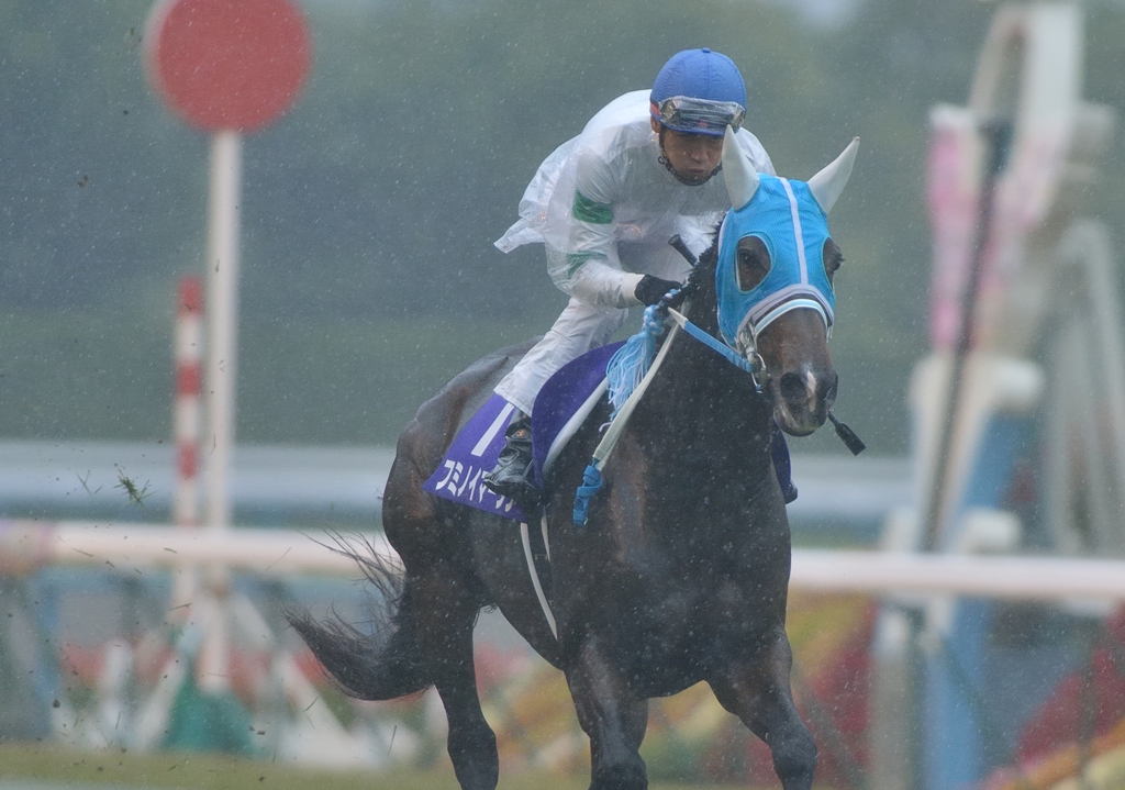 2012　エリザベス女王杯　フミノイマージン