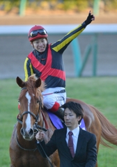 2013 有馬記念　オルフェーヴル
