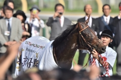 2015 日本ダービー　ドゥラメンテ