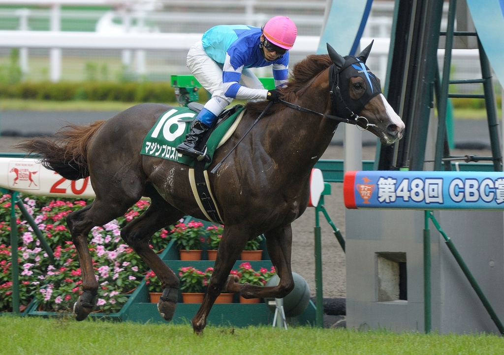 2012 CBC賞　マジンプロスパー