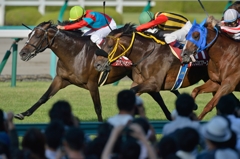 2014 神戸新聞杯 ワンアンドオンリー