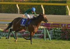 2013 天皇賞(秋)　ジャスタウェイ