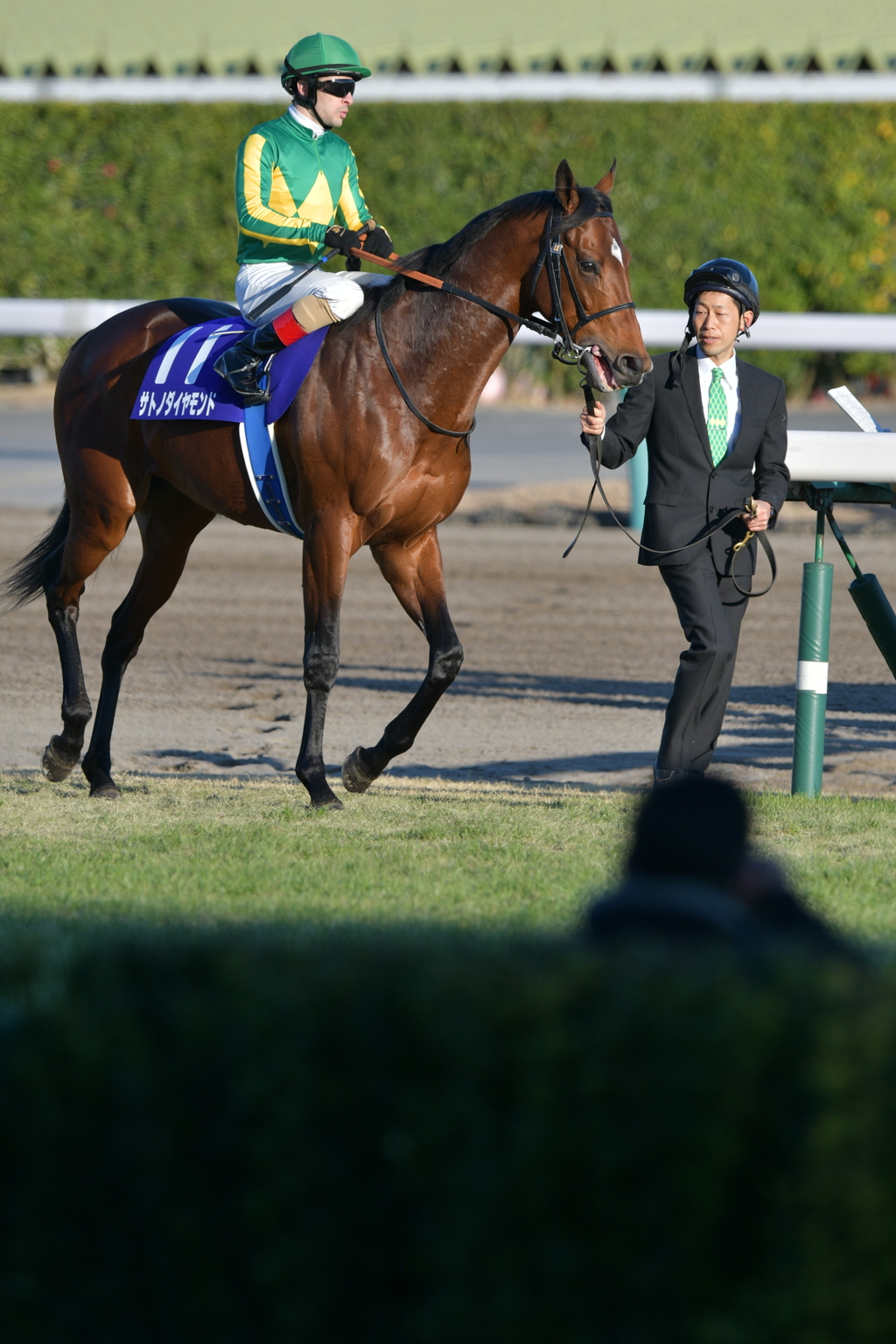 2016 有馬記念 サトノダイヤモンド