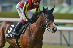 2014 但馬S　リヤンドファミユ