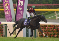 2012　天皇賞(秋) エイシンフラッシュ