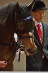 2014　桜花賞　レッドリヴェール