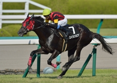 2014ムーンライトハンデ　エイシンヒカリ