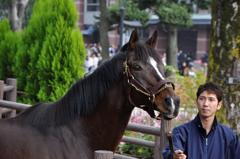 トウカイテイオー