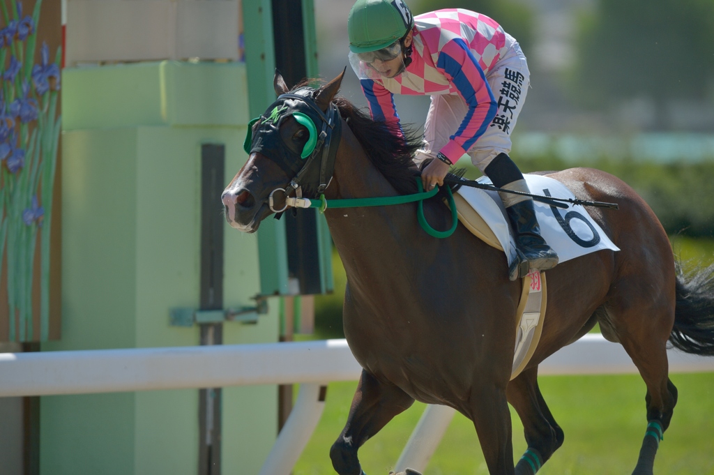 120824名古屋競馬①