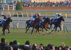 2013 ジャパンカップ　ジェンティルドンナ