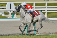 2014　阪神大賞典　ゴールドシップ