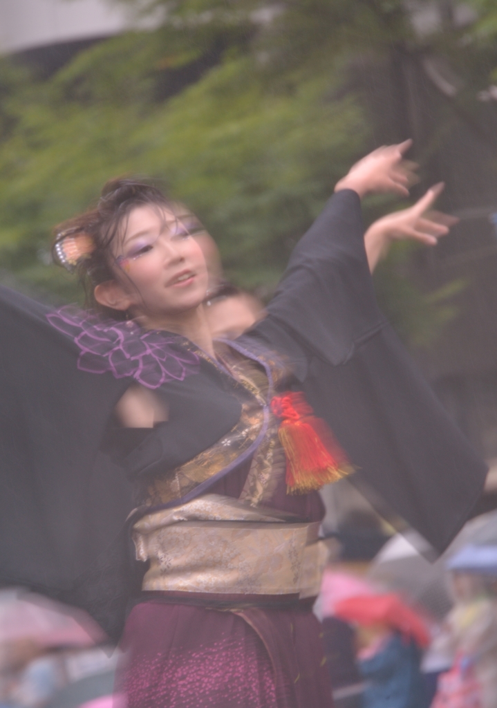 2013 ど祭り