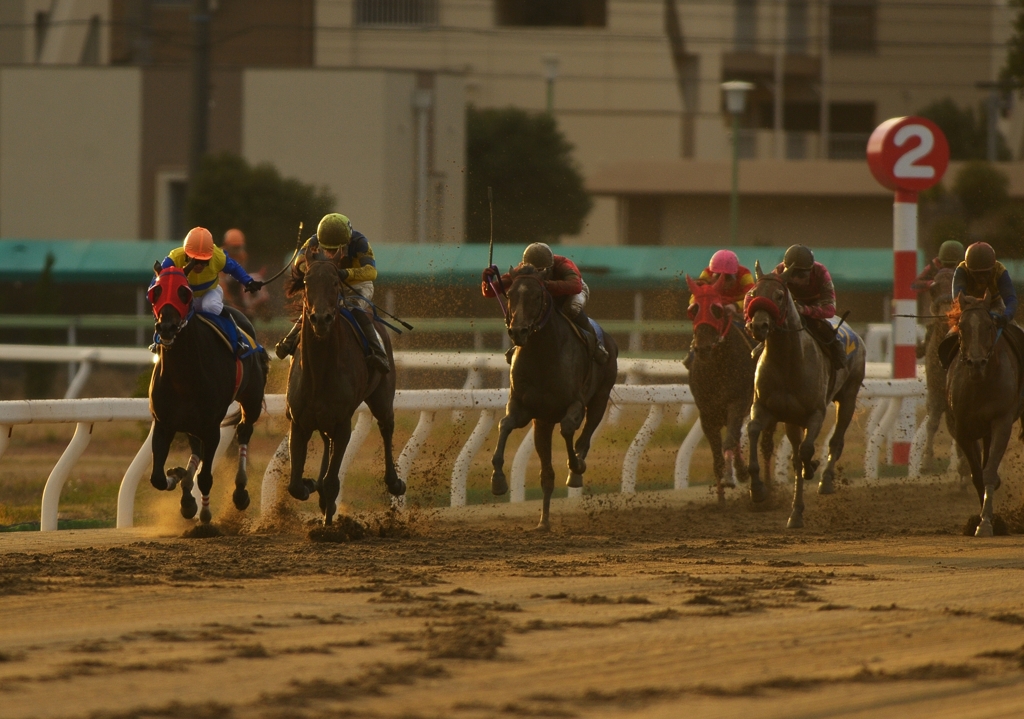 2012　東海菊花賞