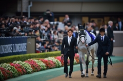 2015 ジャパンカップ ショウナンパンドラ