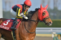 2014 京都記念　ジェンティルドンナ