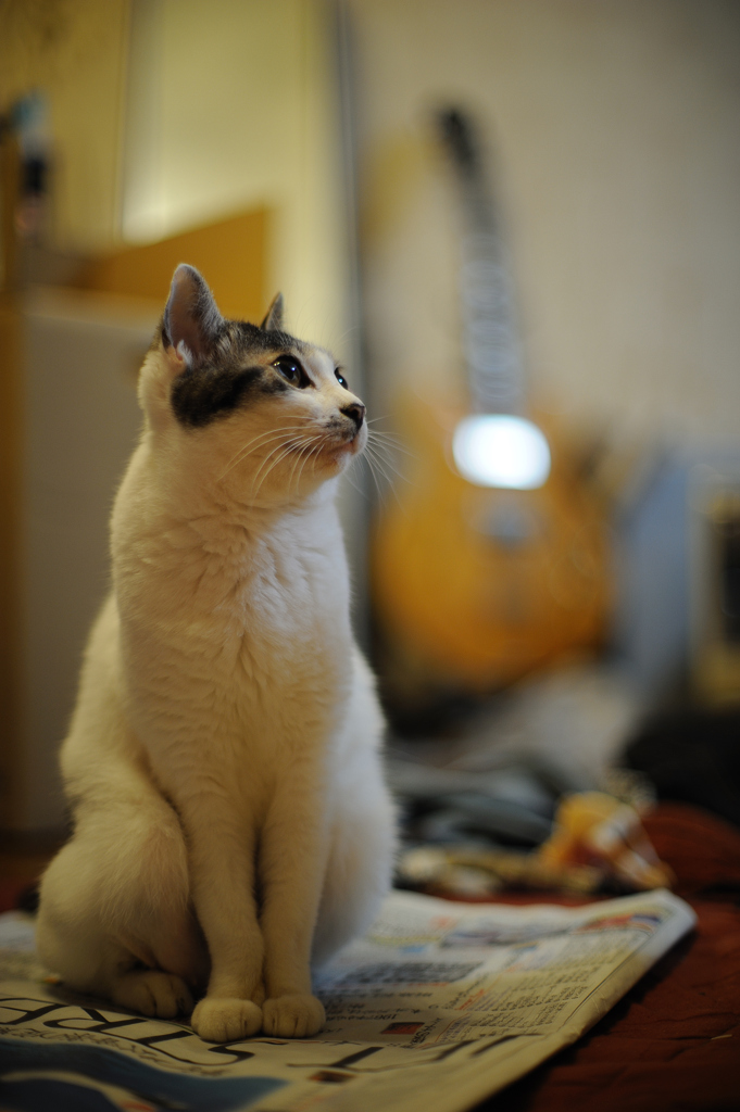 DSC_1689a