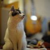 DSC_1689a