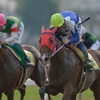 名古屋競馬