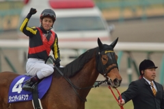 2014 有馬記念 ジェンティルドンナ