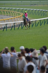 2014 優駿牝馬　ヌーヴォレコルト
