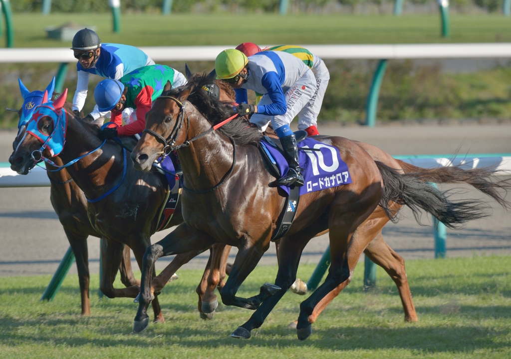 2013　スプリンターズステークス　ロードカナロア