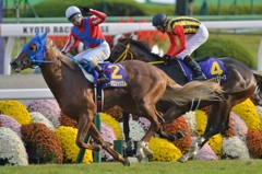 2014　菊花賞　トーホウジャッカル
