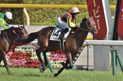 2015 日本ダービー　ドゥラメンテ