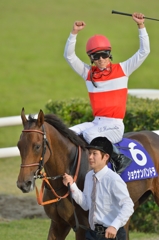2014　秋華賞　ショウナンパンドラ