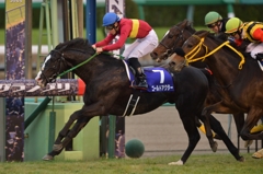 2015 有馬記念 ゴールドアクター