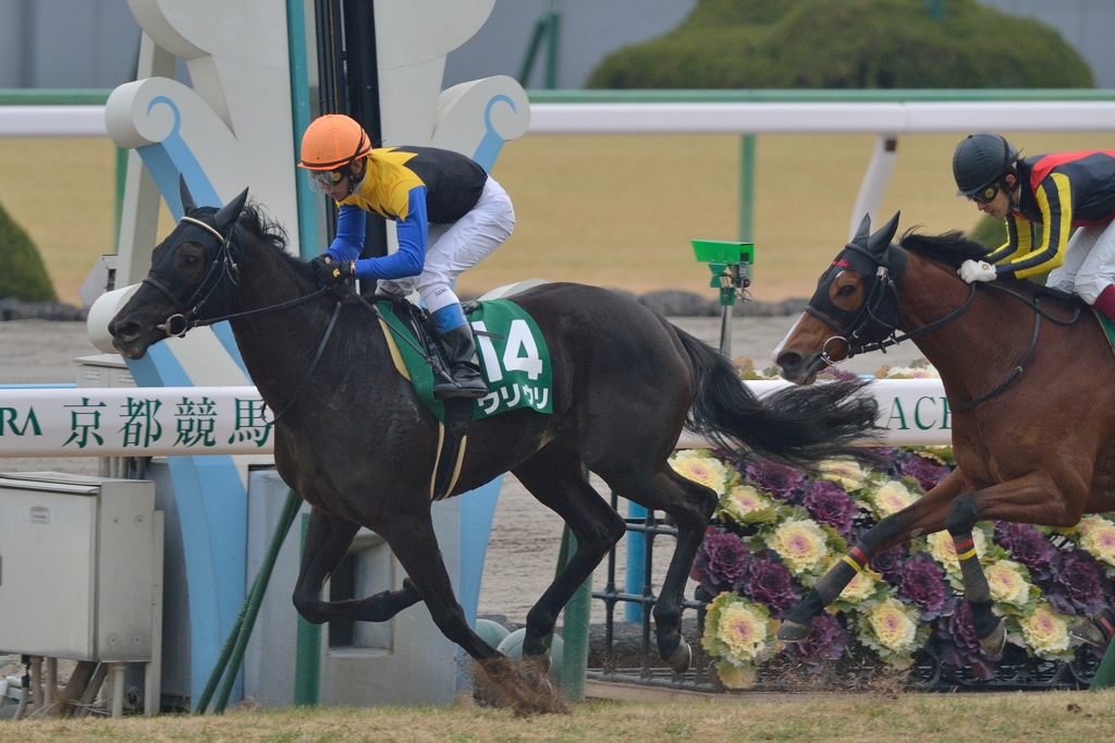 2014 京都牝馬Ｓ　ウリウリ