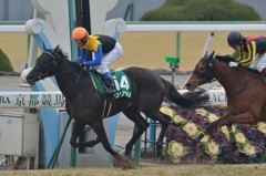 2014 京都牝馬Ｓ　ウリウリ