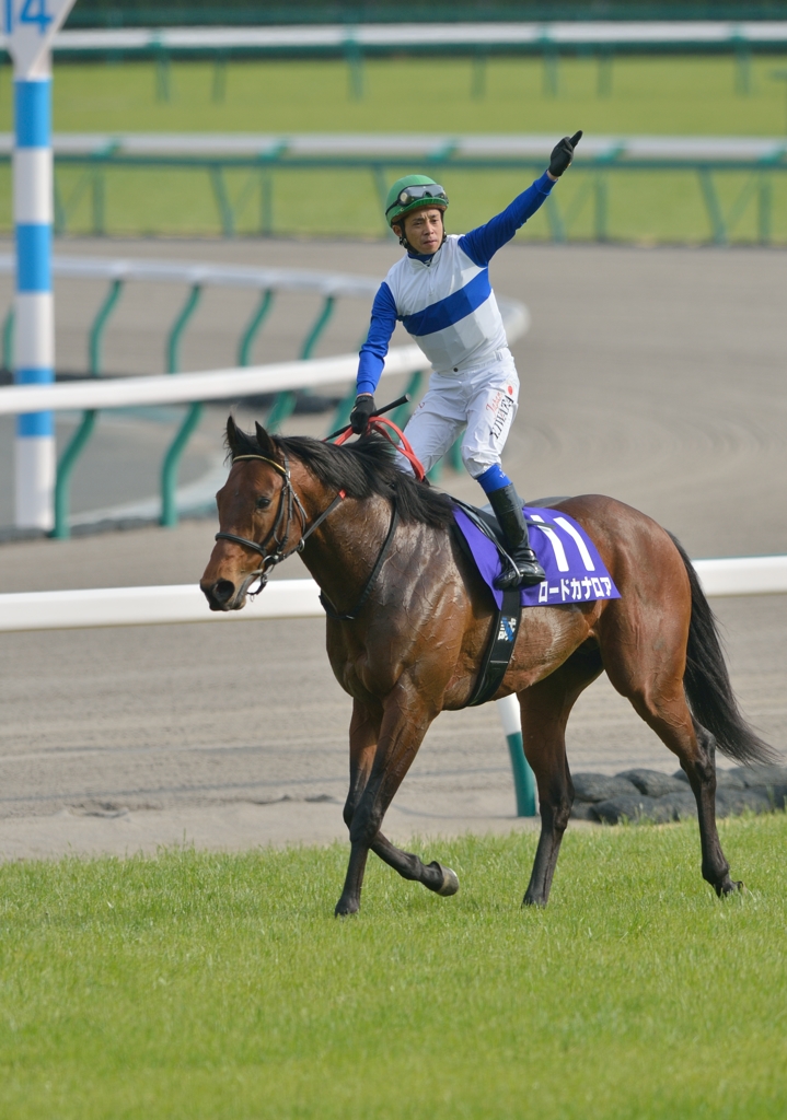 2013　高松宮記念　ロードカナロア
