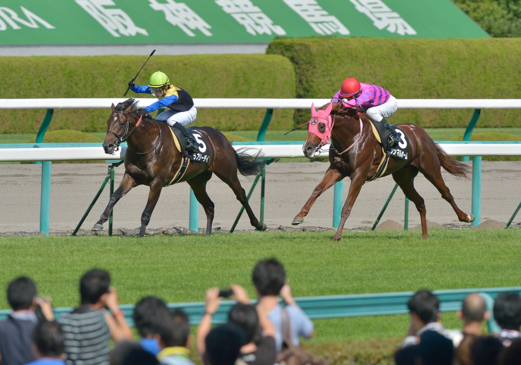 2012野路菊S　ラブリーデイ