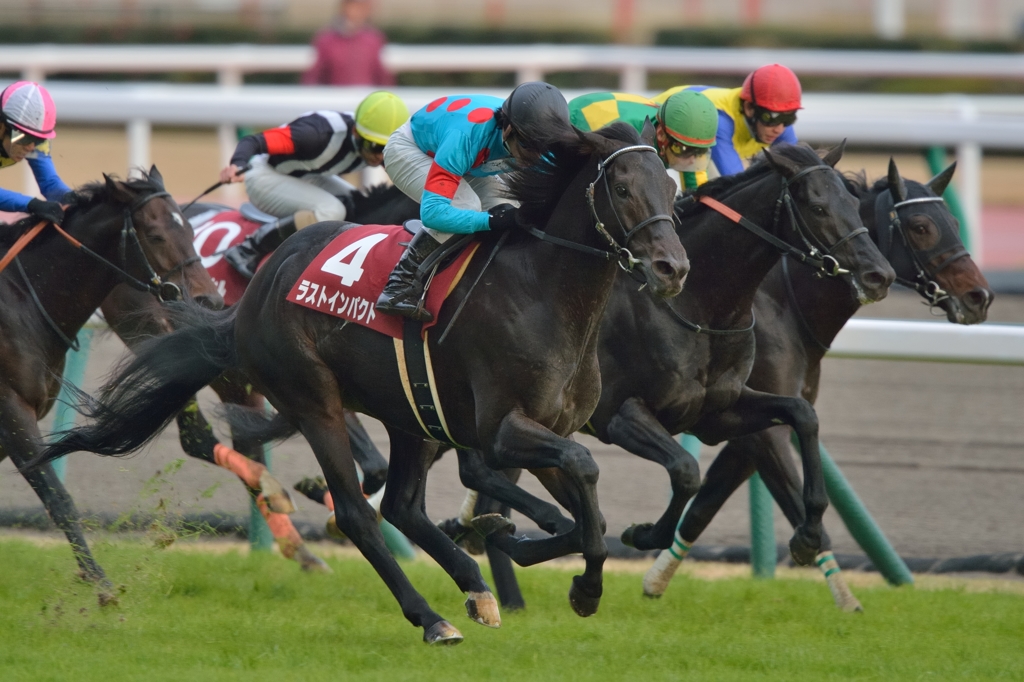 2014 金鯱賞 ラストインパクト