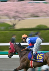 2013 桜花賞　ナンシーシャイン