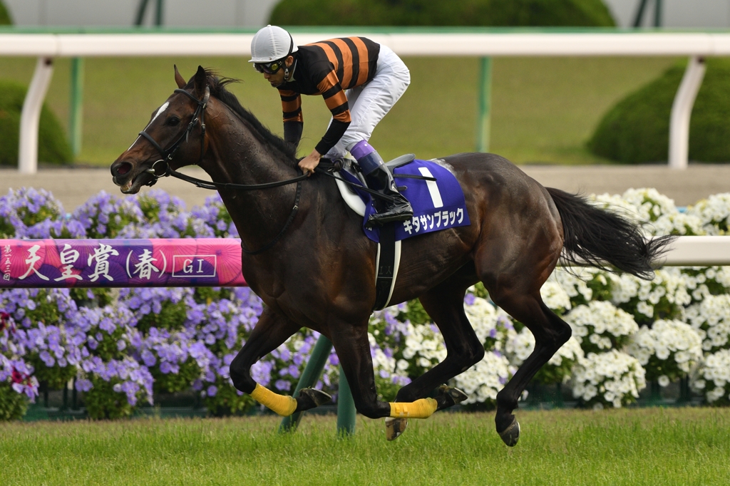 2016 天皇賞(春) キタサンブラック