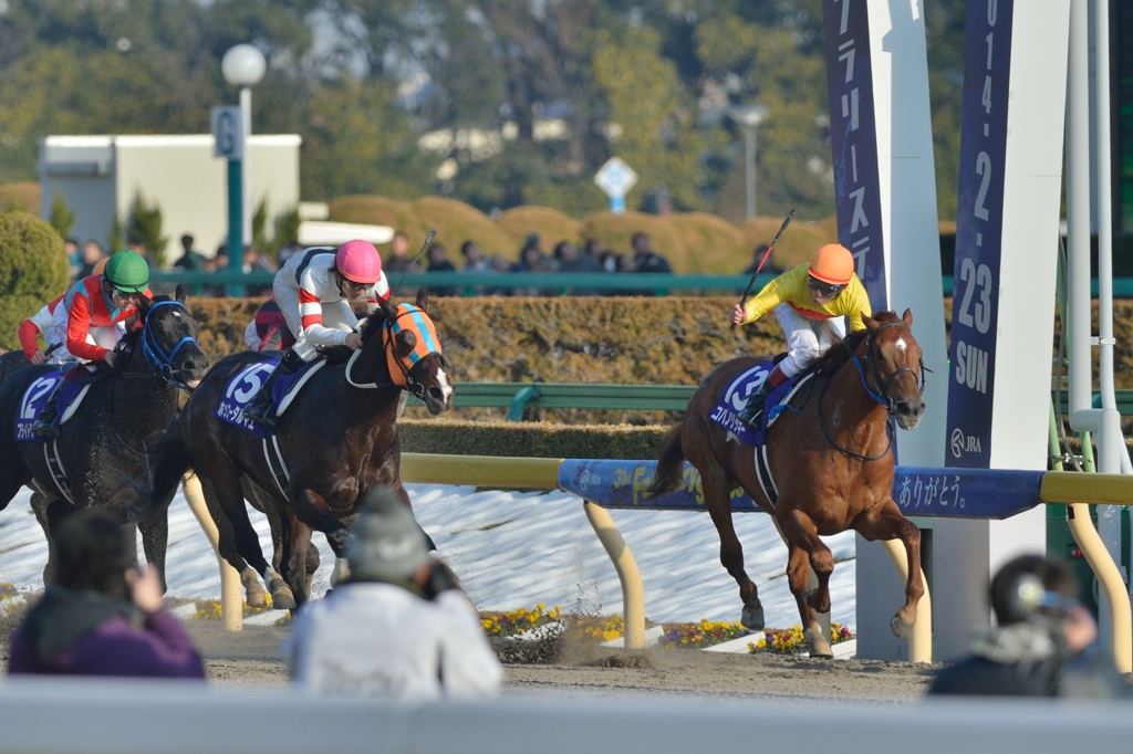 2014　フェブラリーS　コパノリッキー