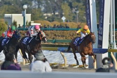 2014　フェブラリーS　コパノリッキー