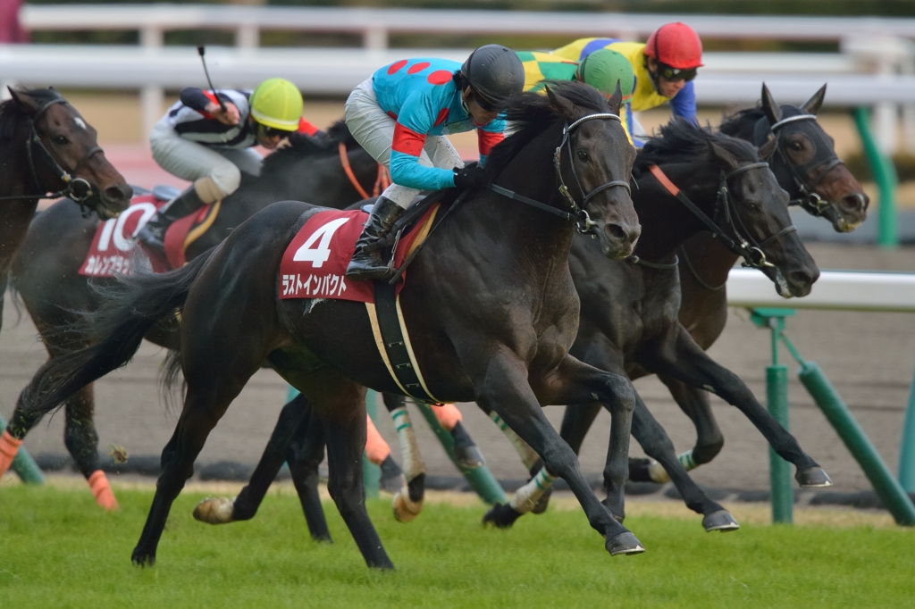 2014 金鯱賞 ラストインパクト