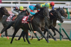 2014 金鯱賞 ラストインパクト