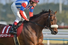 2014 京都記念　デスペラード