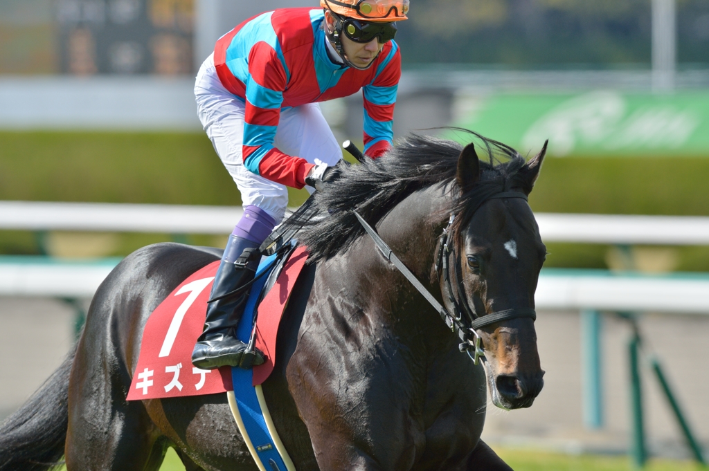 2014　大阪杯　キズナ