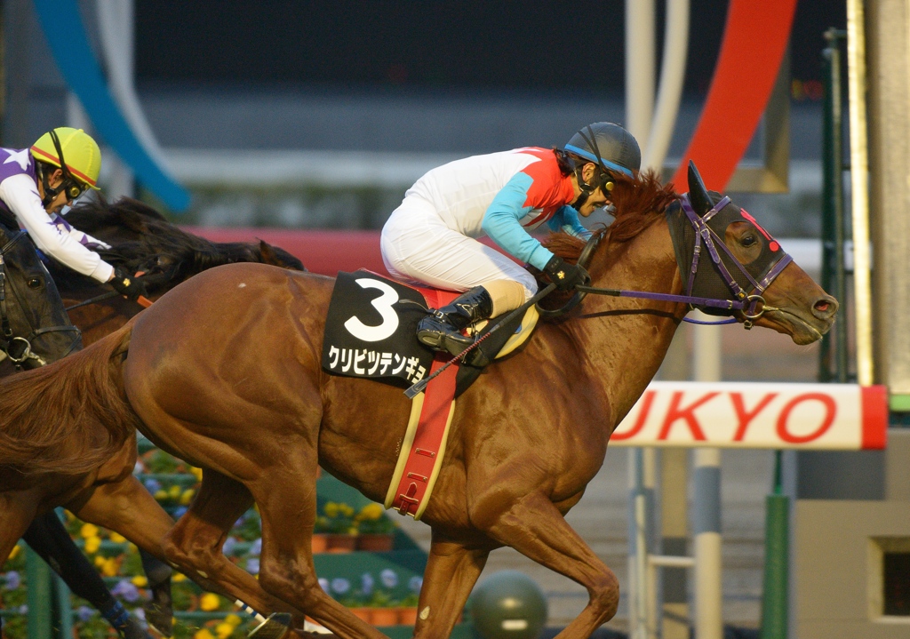 2012 三方ヶ原特別 クリビツテンギョ 