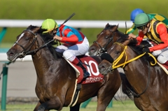 2014 神戸新聞杯 ワンアンドオンリー