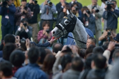 2015 阪神大賞典 ゴールドシップ