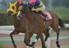 笠松競馬120831②