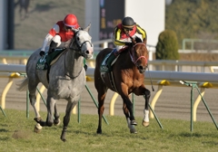 2012　共同通信杯　ゴールドシップ