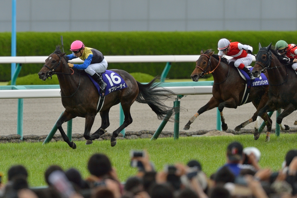 2015  宝塚記念 ラブリーデイ