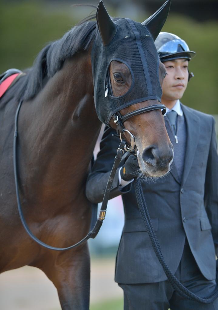 2013 京都記念　トーセンラー