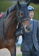 2013 京都記念　トーセンラー